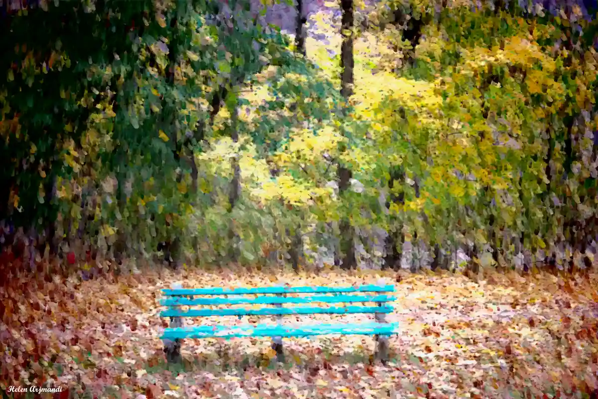 A teal park bench among New England autumn foliage and fallen leaves.