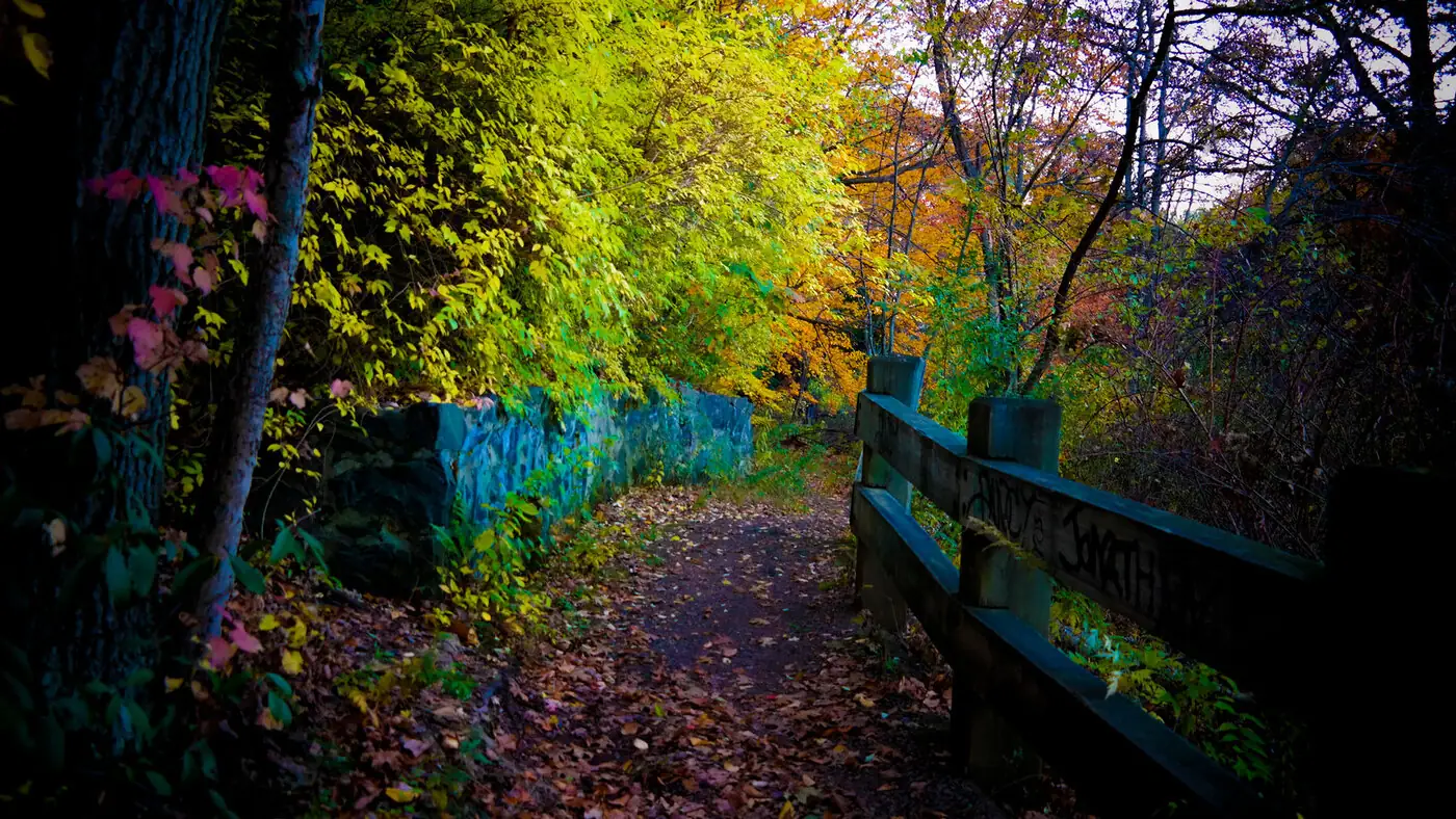 An autumn trail through New England woodland, fence line and fallen leaves.