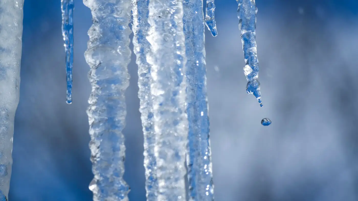 Sunlit icicles dripping against a blue winter background.